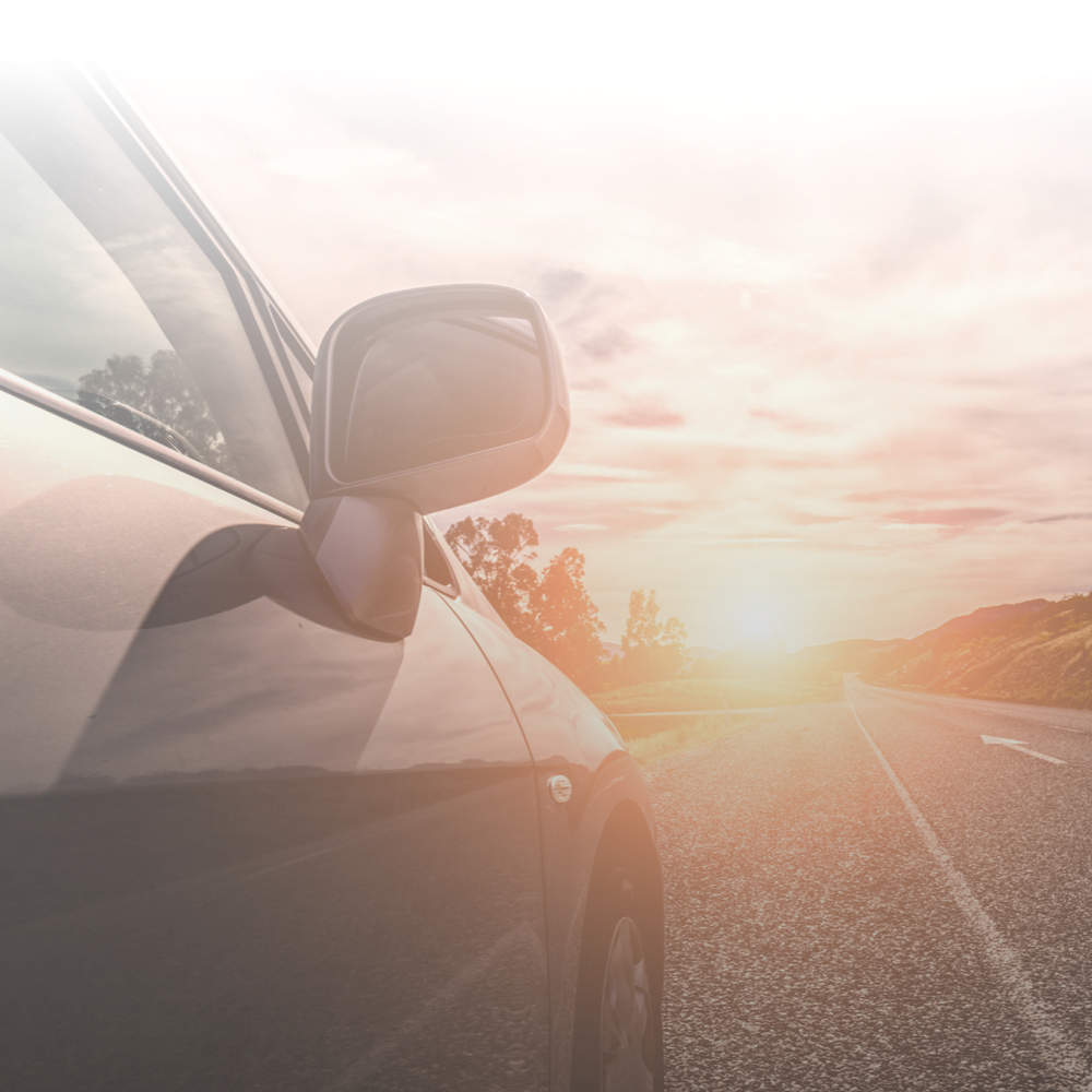 Celebrating our History, Investing in the Future preview image