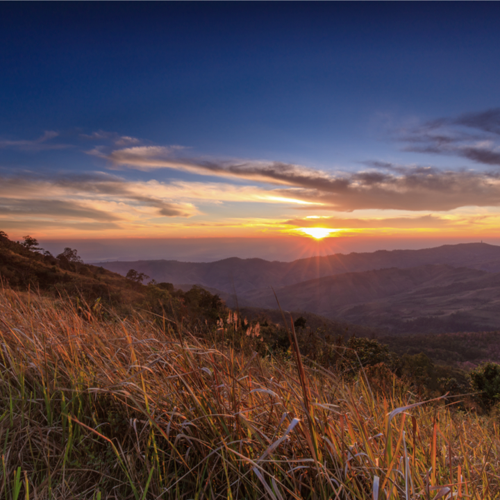 Setting ourselves challenging targets to create a more sustainable business that changes the world for the better preview image